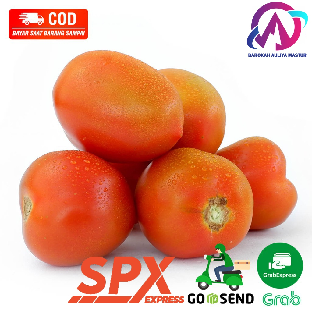 

Buah Tomat Merah 500 Gram Sayuran Segar Fresh BAM Pasar Online Murah Padang