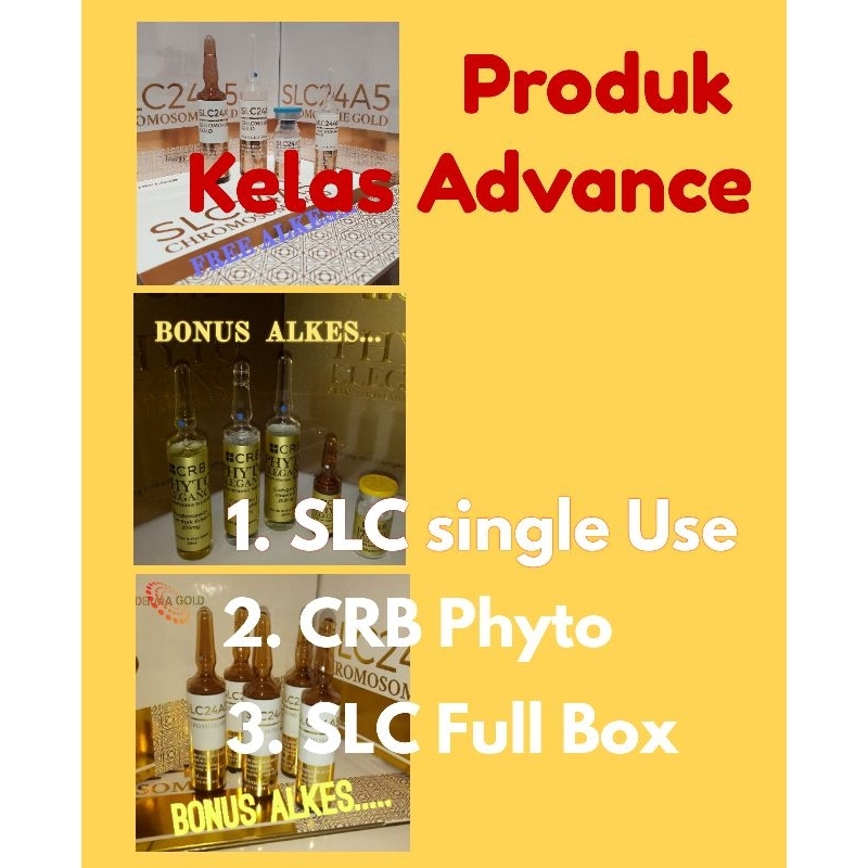 NEW SLC24A5 CHOMOSOME GOLD SINGLE / CRB PHYTO  INFUS WHITENING