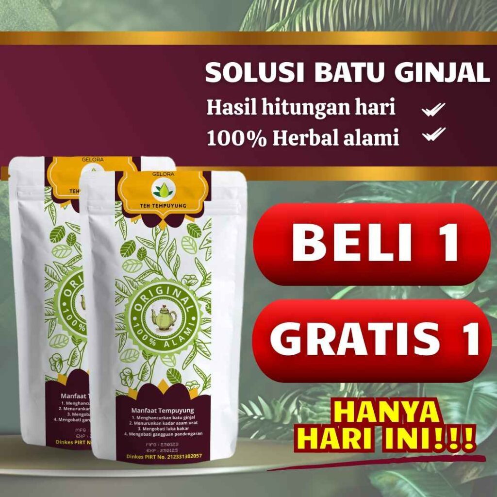 

BELI 1 GRATIS 1 CARA NIKMAT MENGHANCURKAN BATU DI GINJAL TANPA OBAT TEH TEMPUYUNG KENCING SENDAT NYERI PINGGANG