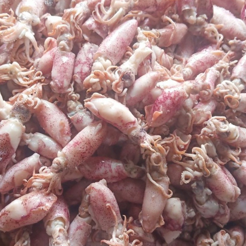 

12.12 Flash Sale Ikan asin cumi Beby 500gr 1sampai 4cm/cumi asin baby /rebus/basa/cumi asin baby gas !!