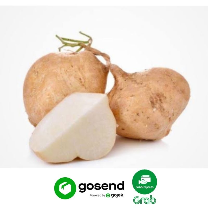 

BENGKUANG SEGAR (500 GRAM)