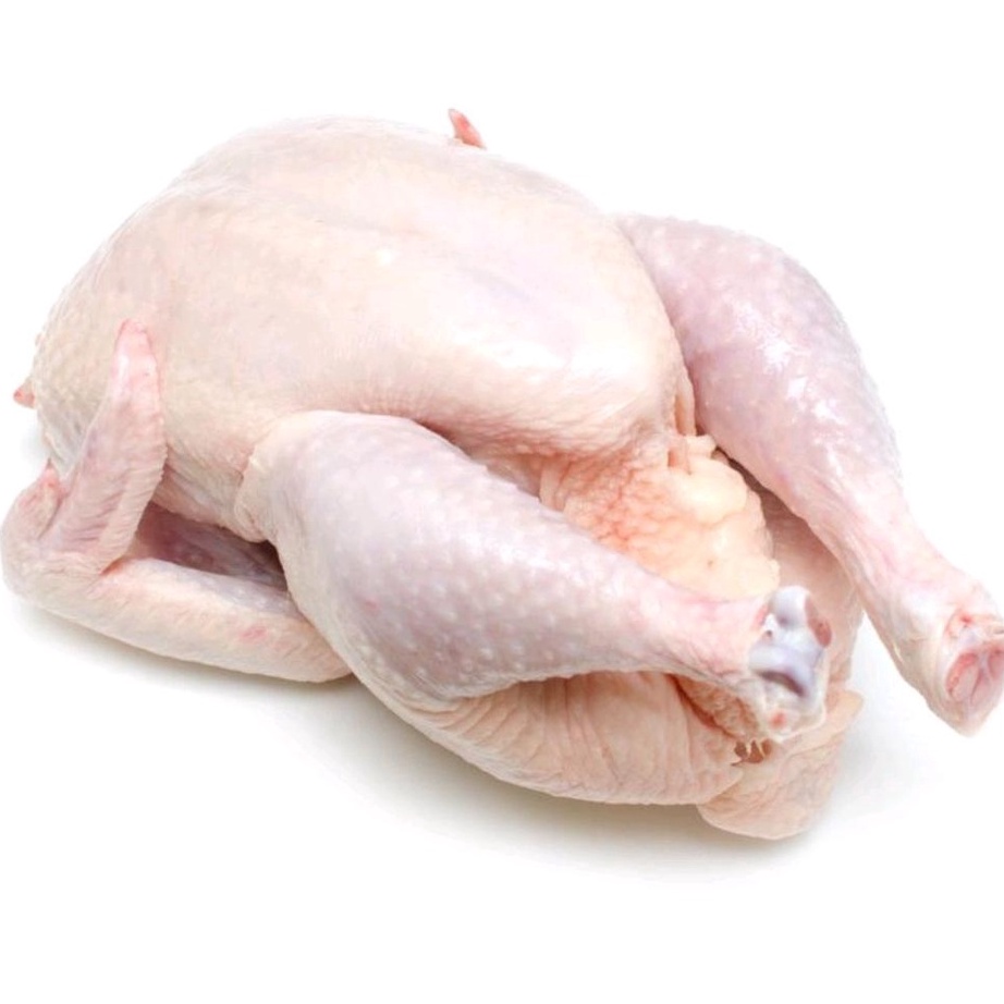 

DDQG7726 Ready Stok ayam broiler frozen 1,1 sd 1,2kg/ayam karkas/ayam murah/ayam broiler