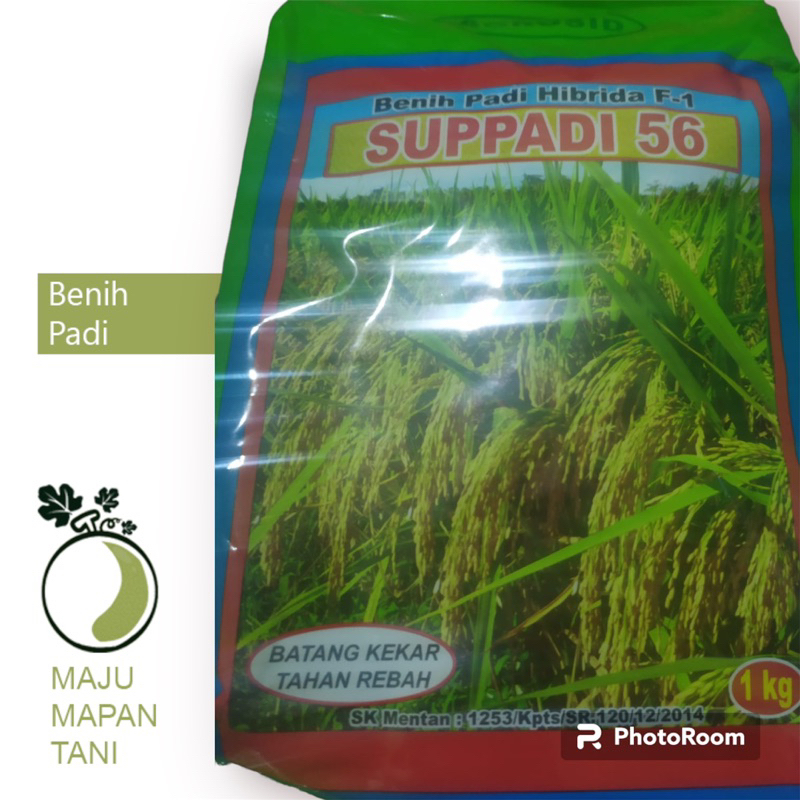 BENIH BIBIT PADI PARI HIBRIDA SUPADI 56 100% Original Primasid