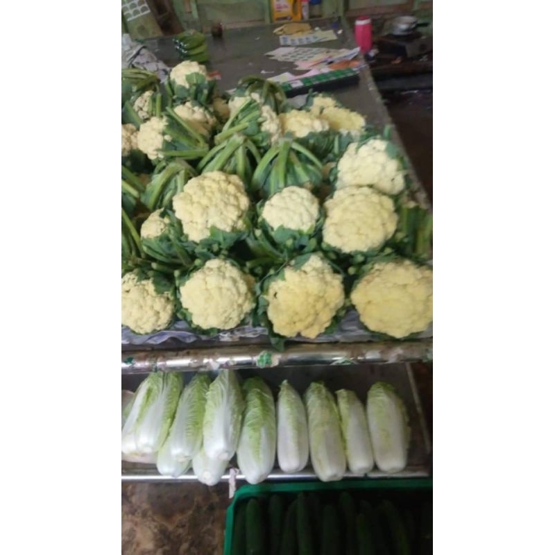 

kembang kol super500gr