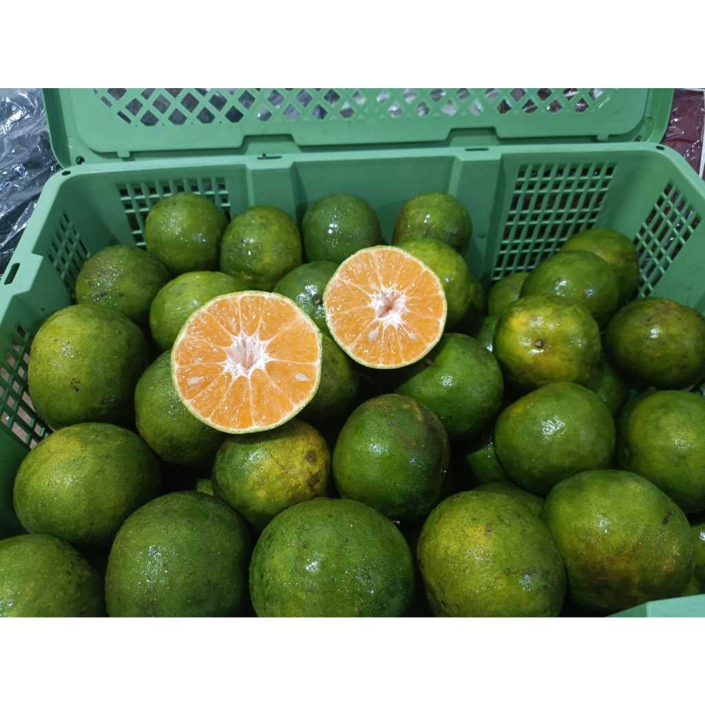 jeruk madu kalimantan 1 peti