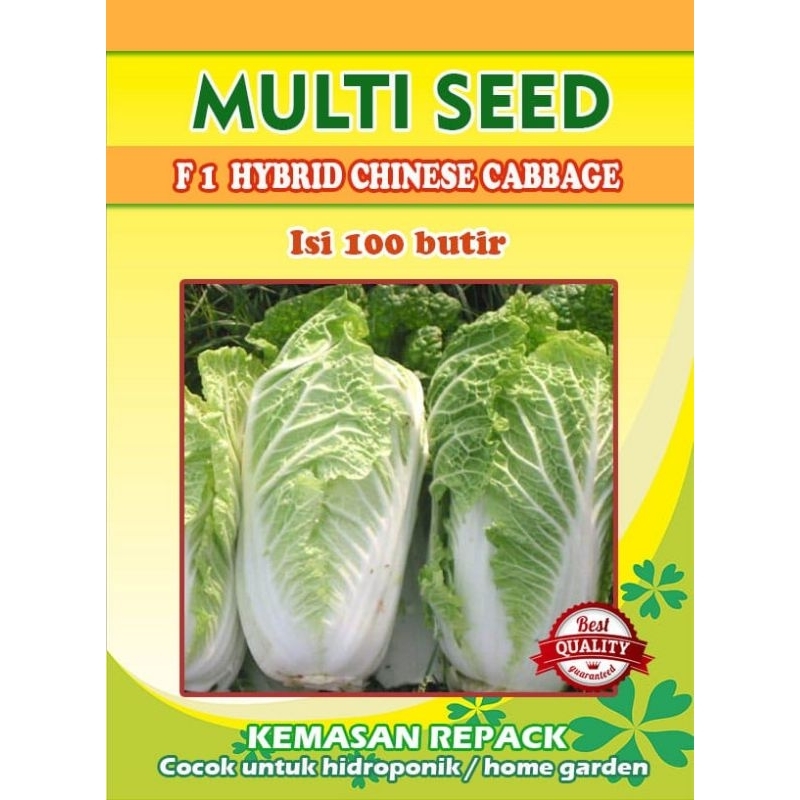 Benih Bibit Sawi Putih SAKURA - F1 | Kemasan Repack / bibit sawi putih / biji sawi putih Benih Sawi 