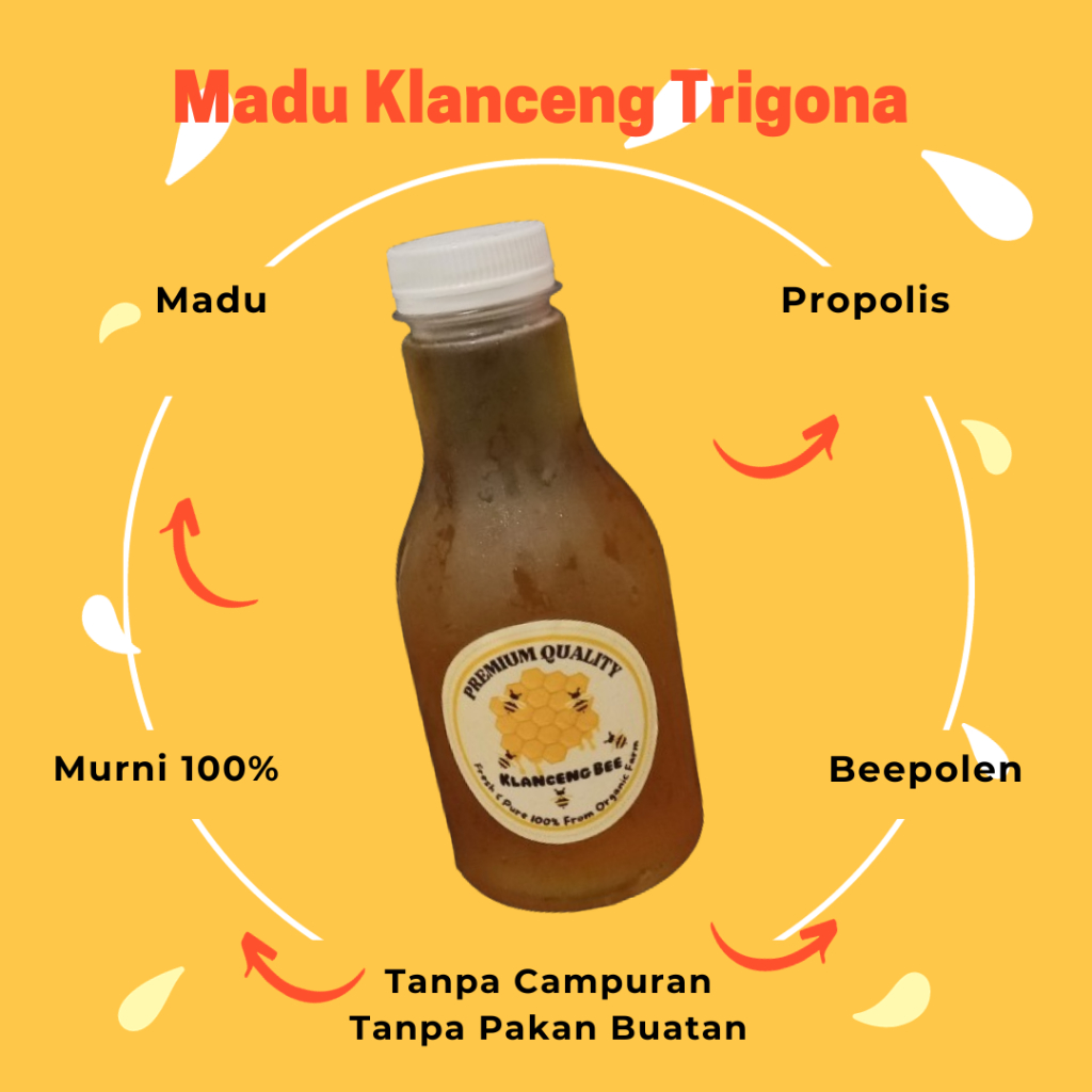 

Madu Klanceng Asli 100% Tanpa Campuran Lebah Itama 250 ML