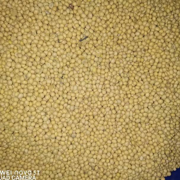 

[™N82@] Kacang Kedelai Super America 1kg/1000gr Always