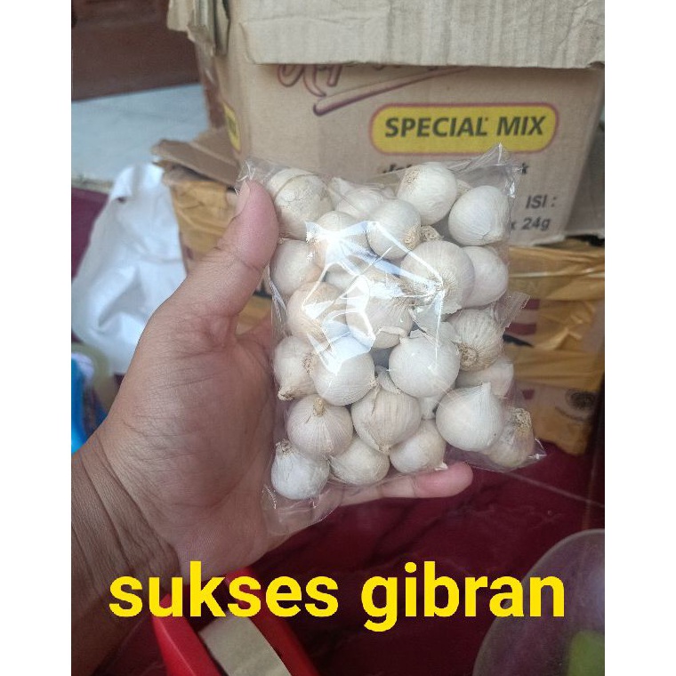 

Bawang putih tunggal atau lanang 250 gram 41