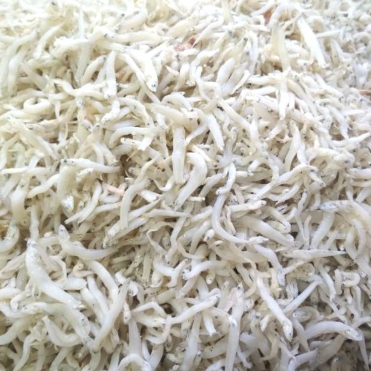

82 Grosir 100 gram Ikan Asin Teri Medan Teri Nasi Segar Murah astbb