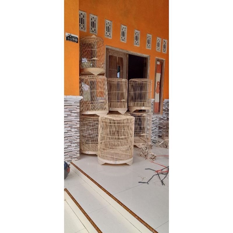 sangkar murai batu mentah