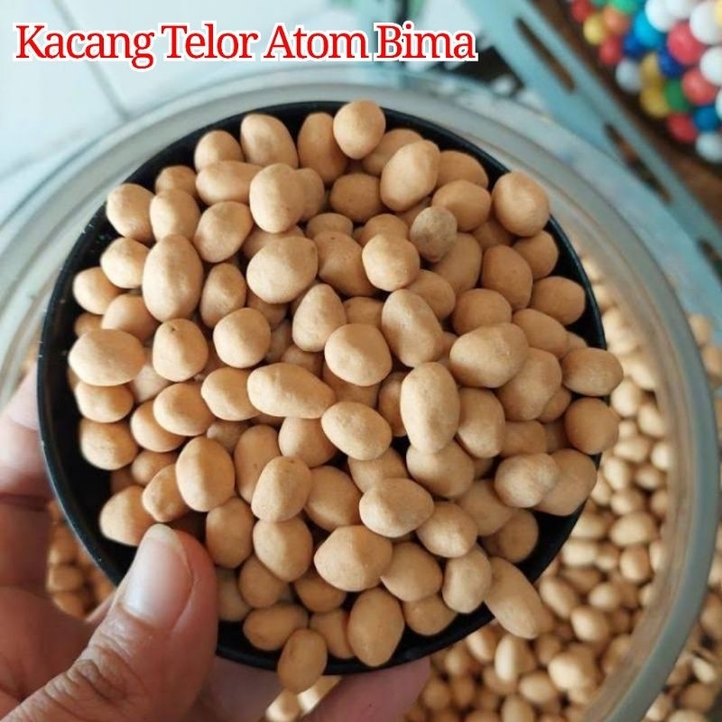 

KACANG TELOR OVEN ATOM BIMA KEMASAN 500 GRAM