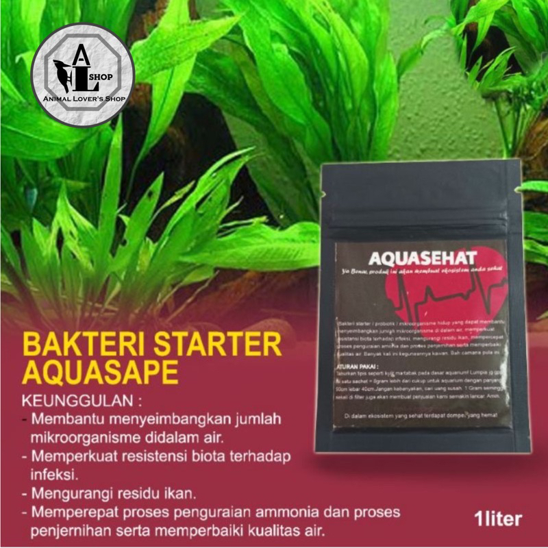 Bakteri starter Aqua sehat bakteri starter aquascape
