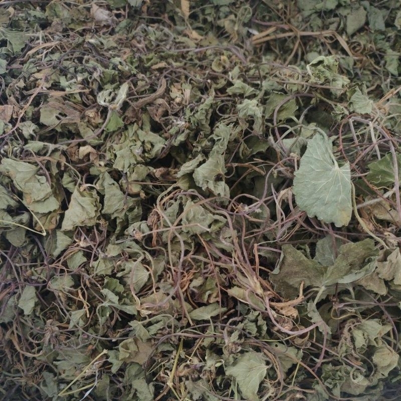 

Daun pegagan 1 kg kering