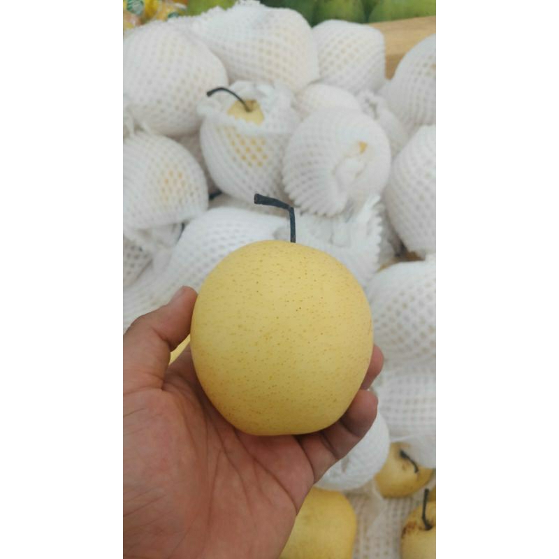 

Piir Century 23.000 /kg