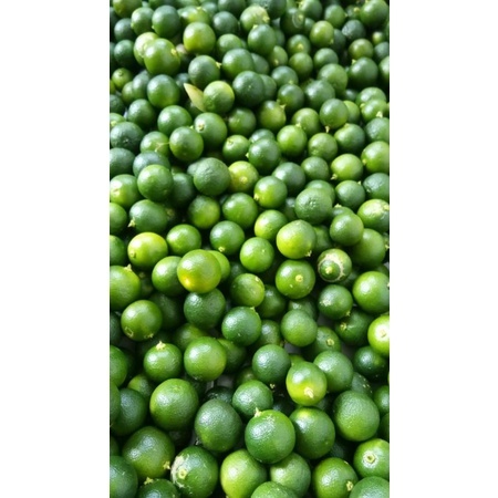 

✔️READY Jeruk Kasturi / Jeruk Sonkit Baru / Jeruk Peras Kasturi Baru Petik