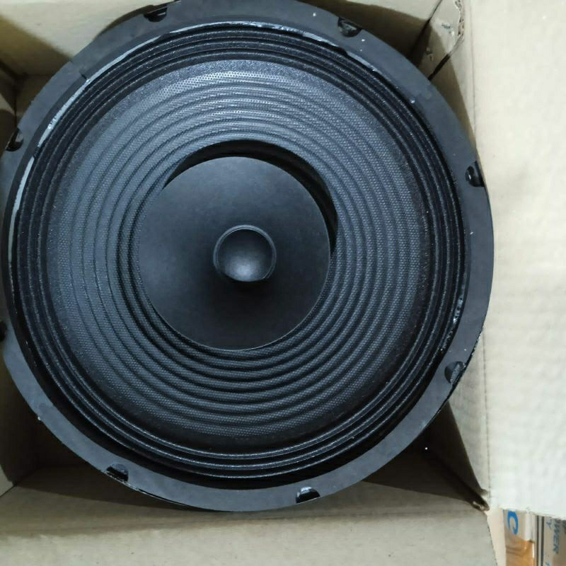 SPEKER CANON 10 in RANGE/CORONG