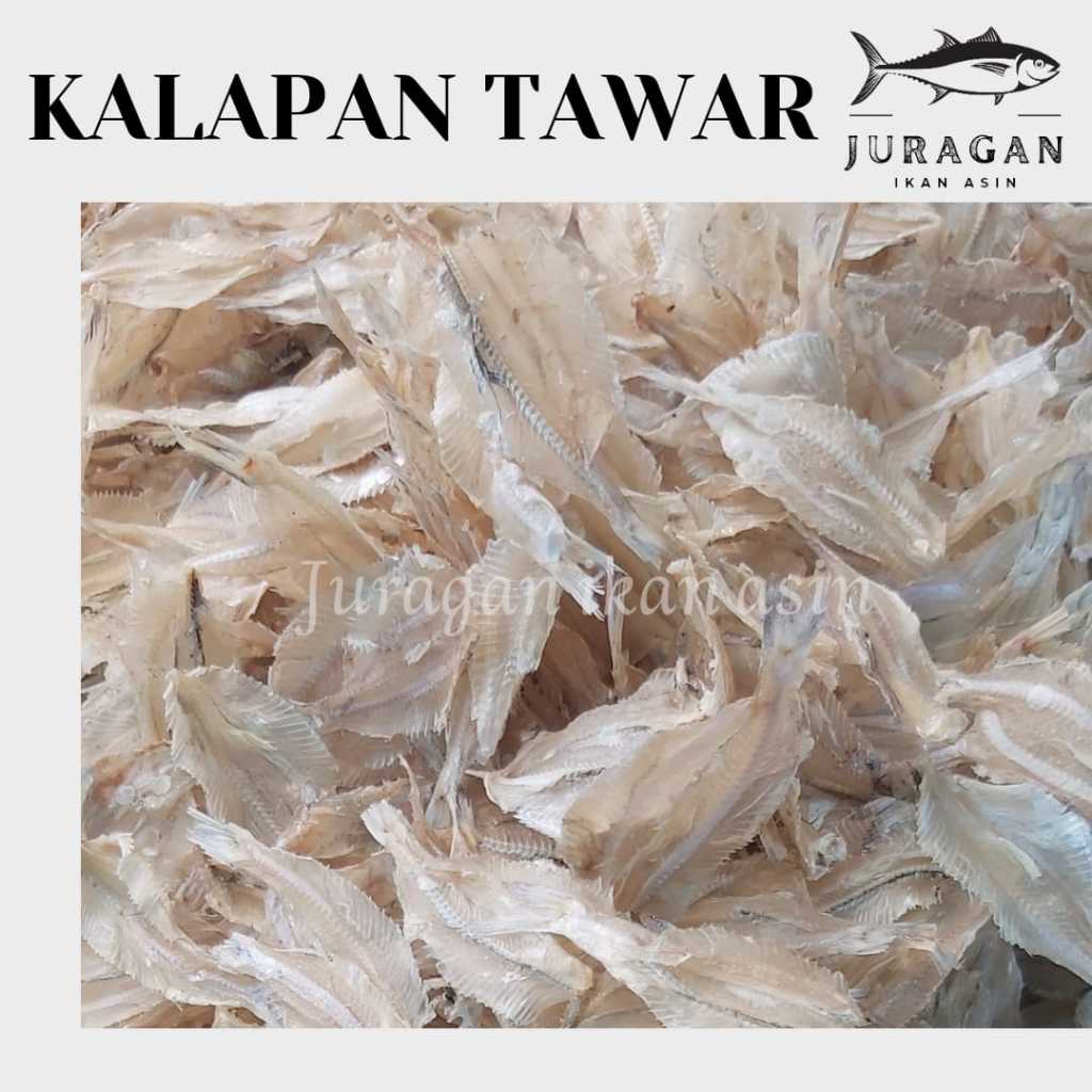 

IKAN KALAPAN TAWAR / IKAN KERUPUK KEMASAN 250GR BISA COD / TERSEDIA HARGA GROSIR
