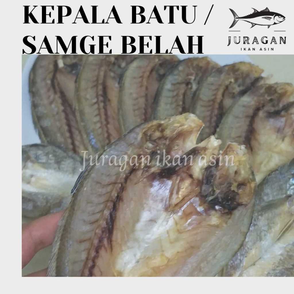 

IKAN GULAMO / SAMGE KEMASAN 250GR BISA COD / TERSEDIA HARGA GROSIR