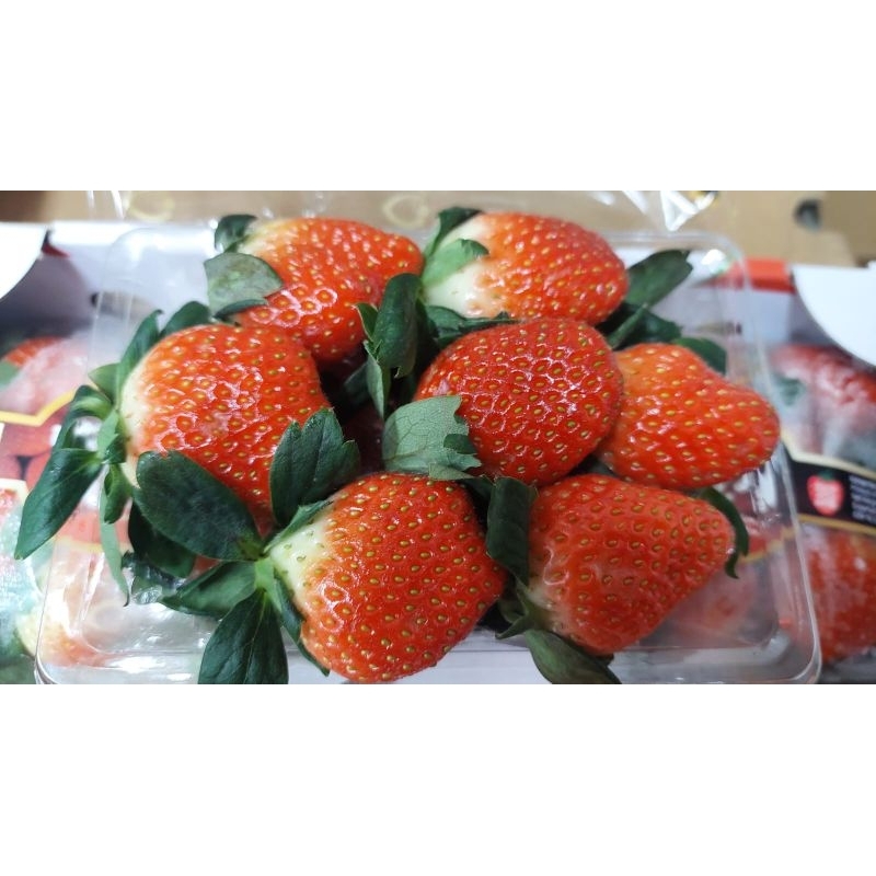 

STRAWBERRY KOREA 330 GRAM X 4 PACK - RUMAH ZANAWA