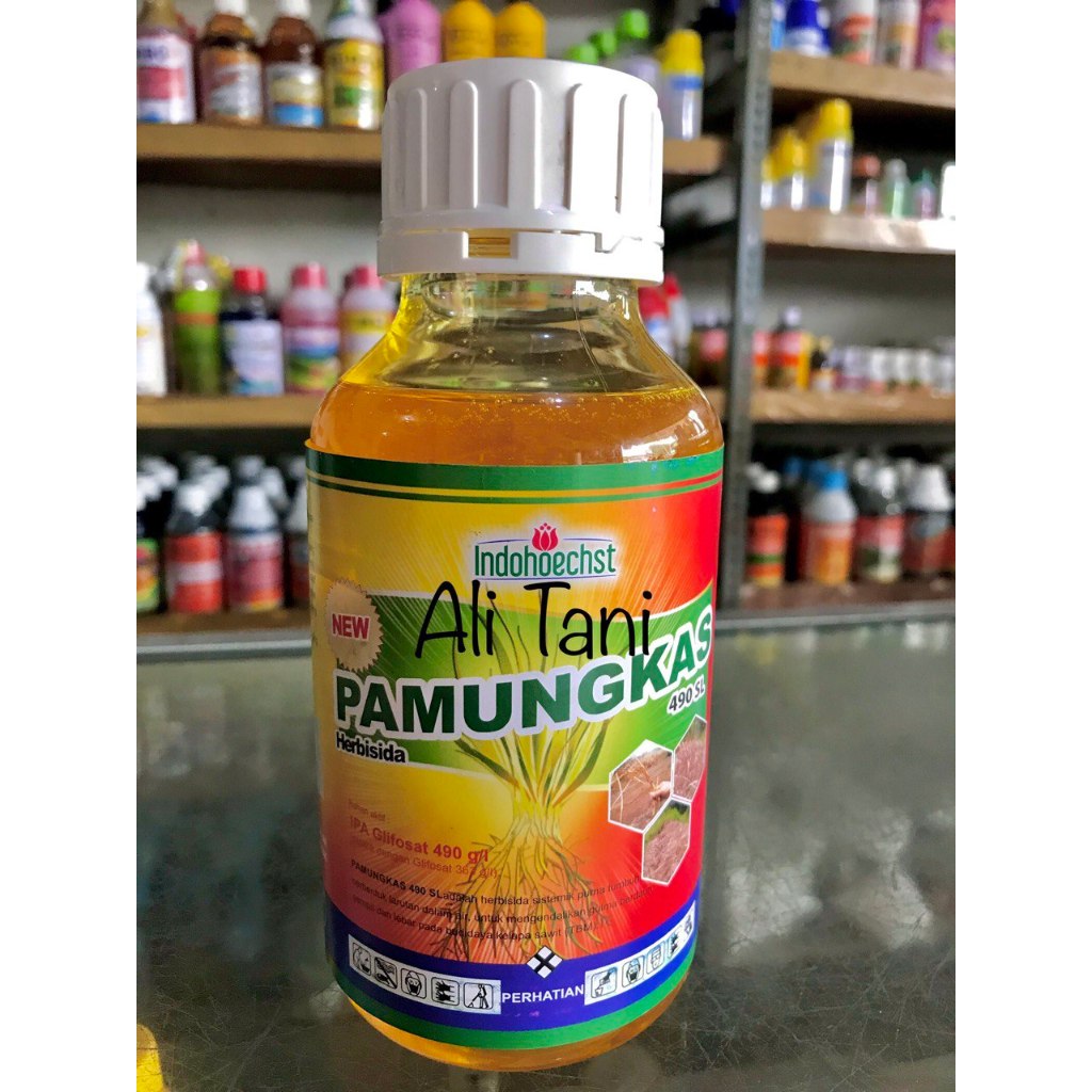 PAMUNGKAS 490 SL kemasan 500 ML Herbisida Sistemik/Racun Rumput