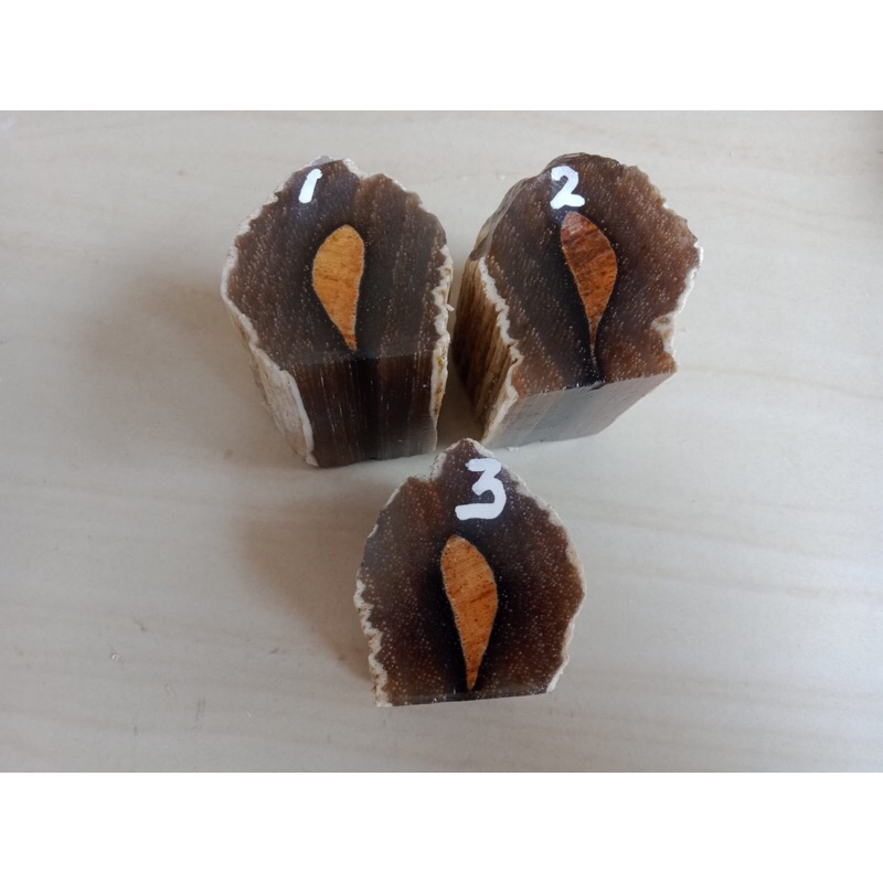 fosil galih kelor kristal coklat tembus natural