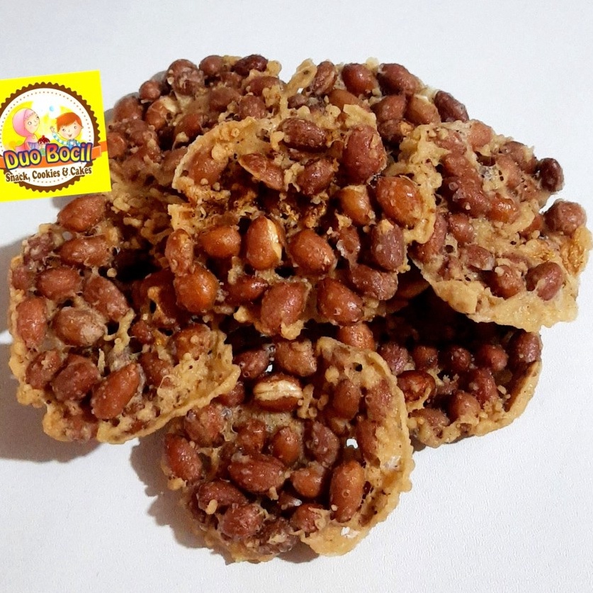 

Diskon Promo Rempeyek Peyek Kacang Gurih Asli Magelang 250 Gram - Duo Bocil Snack