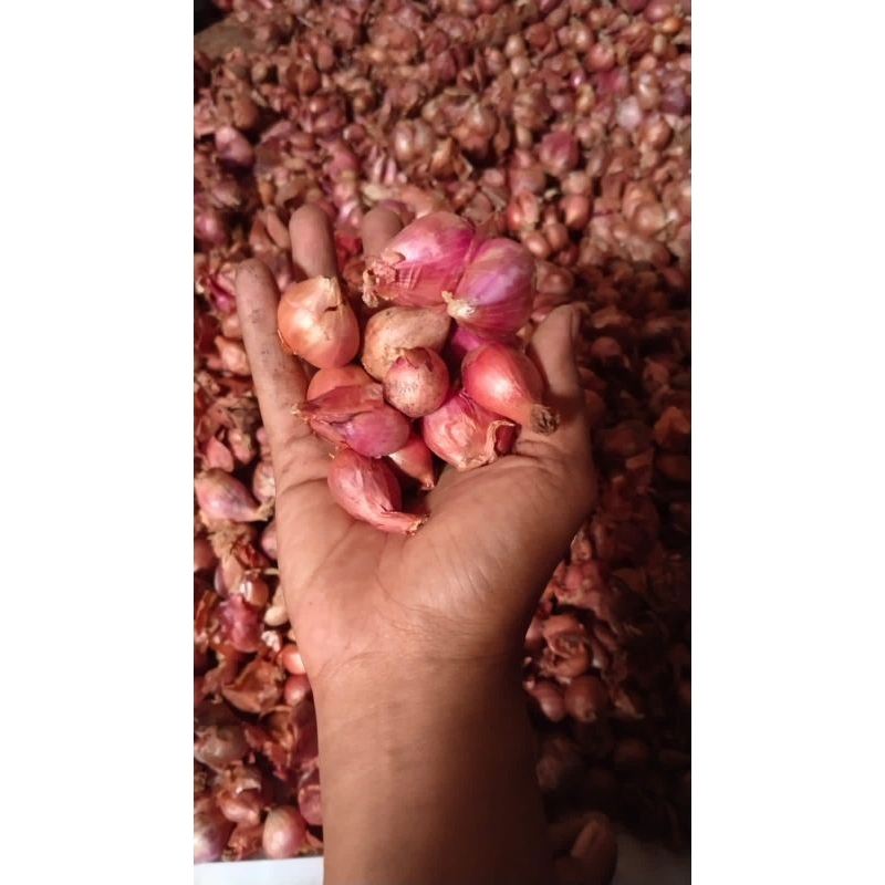 

Bawang merah 1kg