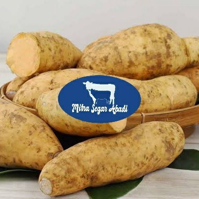 

Kode XOY043 Ubi Madu Cilembu Mentah @1KG