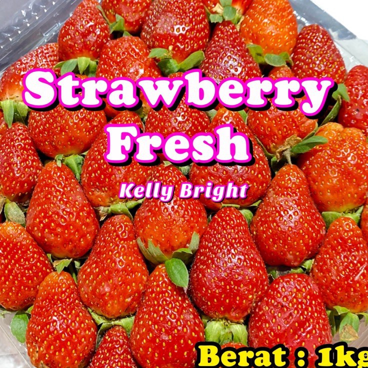

MODEL HQG644 Strawberry Fresh Kelly Bright ±900gr - 1kg