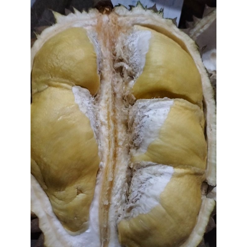 Durian utuh Montong bawor 1,8kg
