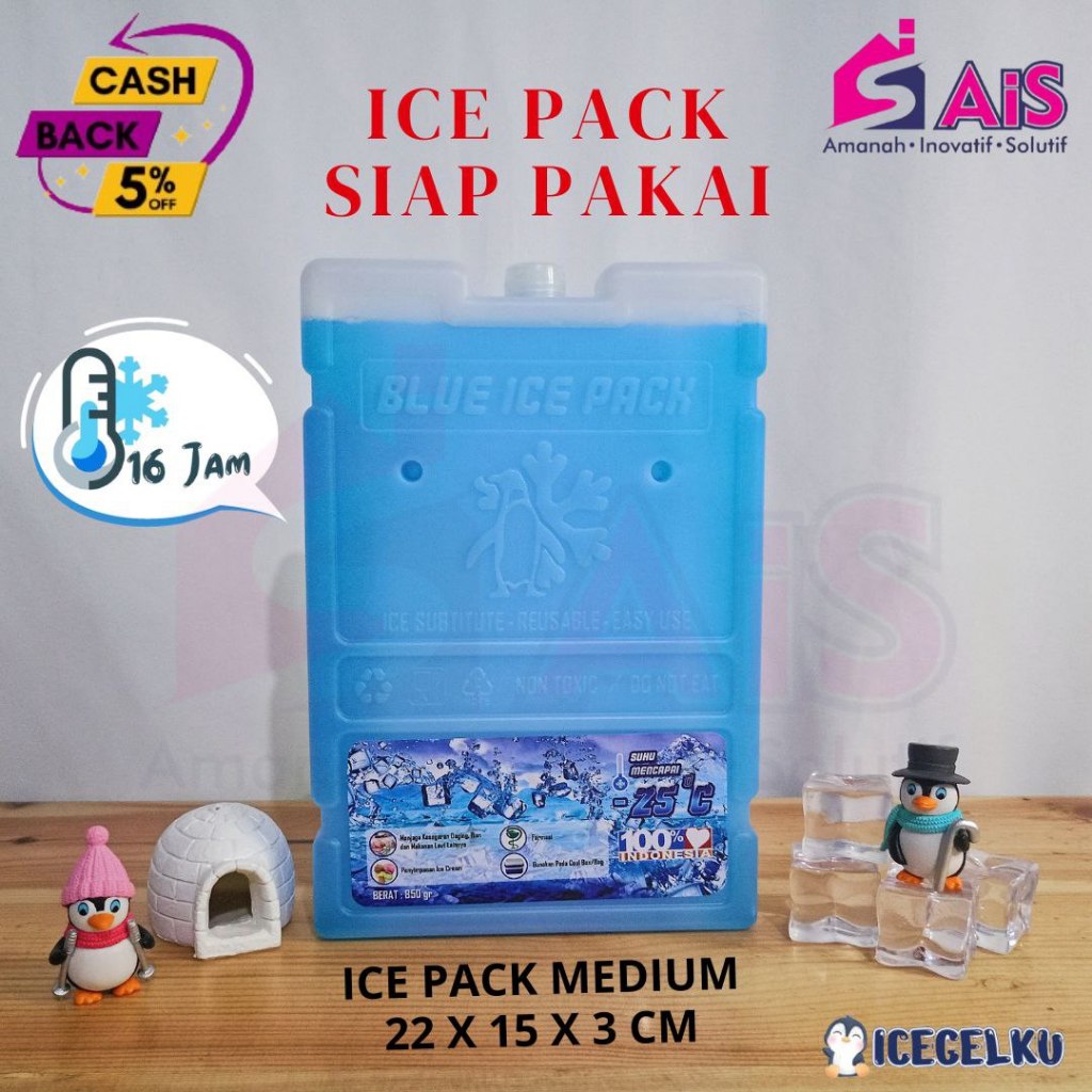 ICEGELKU ICE PACK MEDIUM 22x15cm ICE PACK SIAP PAKAI ICE GEL PACK KOTAK BLUE PACK ICEPACK COOLER BOX
