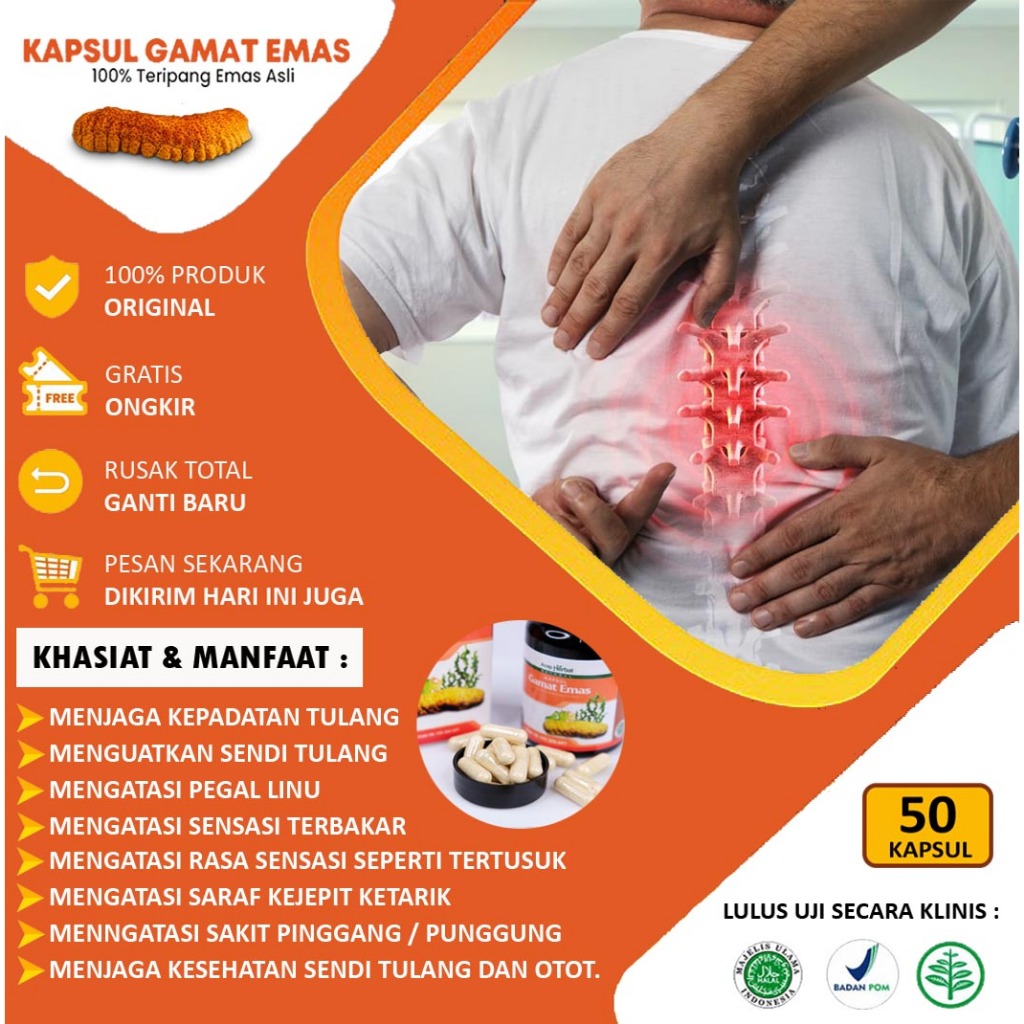 Obat Nyeri Punggung, Punggung Pegal, Nyeri Punggung Terus Menerus, Kaku Tulang Belakang, Cedera Otot