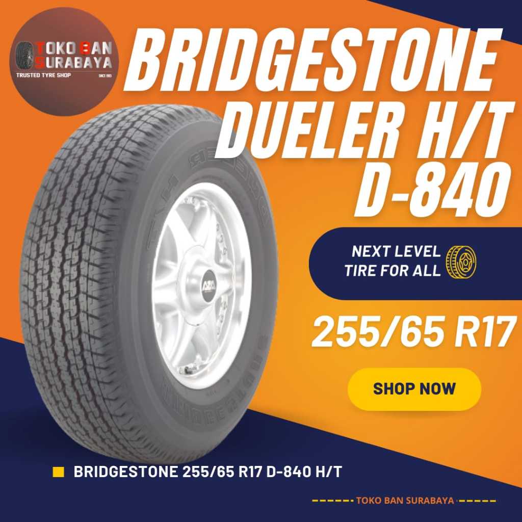 Ban Bridgestone BS 255/65 R17 255/65R17 25565R17 25565 R17 255/65/17 R17 R 17 DUELER D840 D 840 H/T 