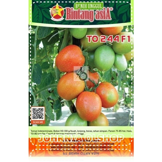 Johrnia 10 Benih Biji Tomat TO 244 F1
