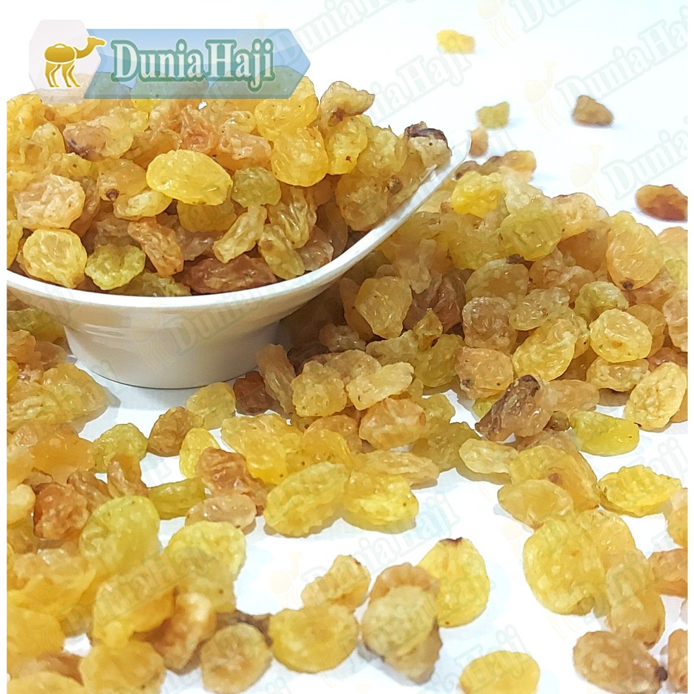 

Past! Murah Kismis SIMIN // Kismis Anggur Kristal Warna Emas a Manis Oleh Oleh dan Umroh [214]