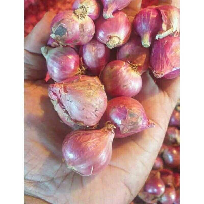 

Bawang merah brebes 1kg