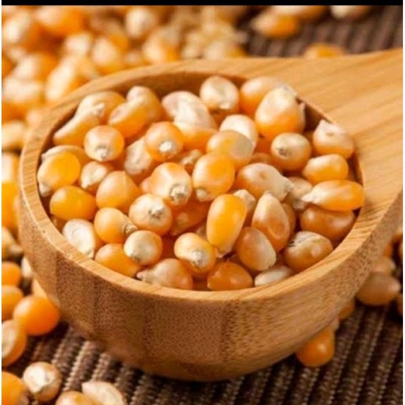 

Popcorn Pop Corn 1 Karung 20kg Jagung Kering