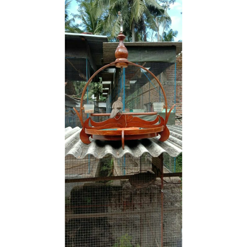 Sangkar layang / sangkar terkuku/ sngkar perkutut