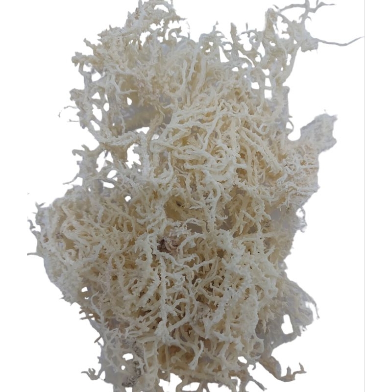 

Rumput Laut Kering Kawat 250gr