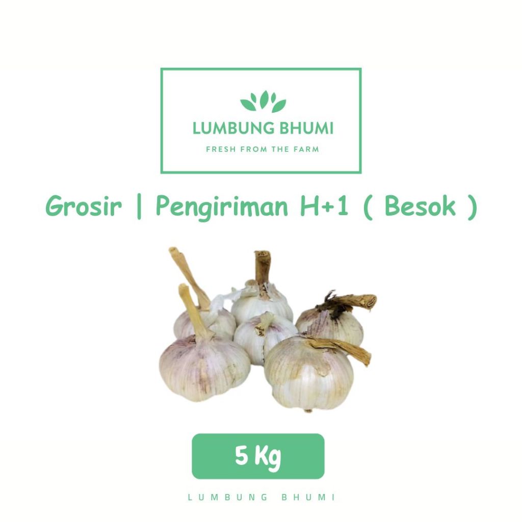 

Bawang Putih Kulit Honan Sayur 5 Kg - Lumbung Bhumi Grosir