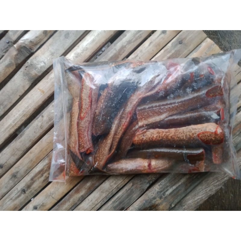 

belut bersih 1 kg murah banget