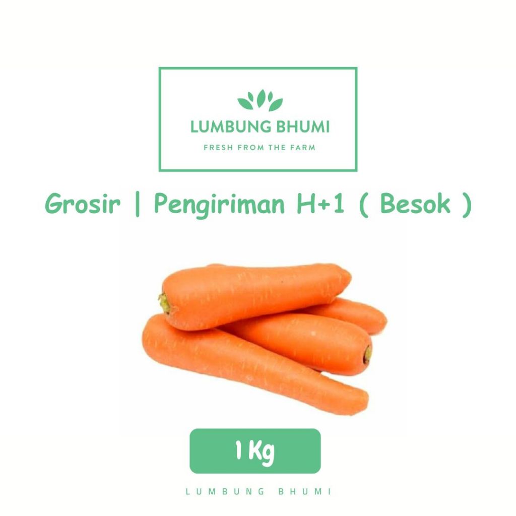 

Wortel Impor Brastagi Murah 1 Kg - Lumbung Bhumi Grosir