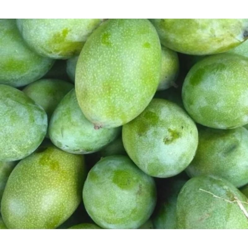 

Mangga