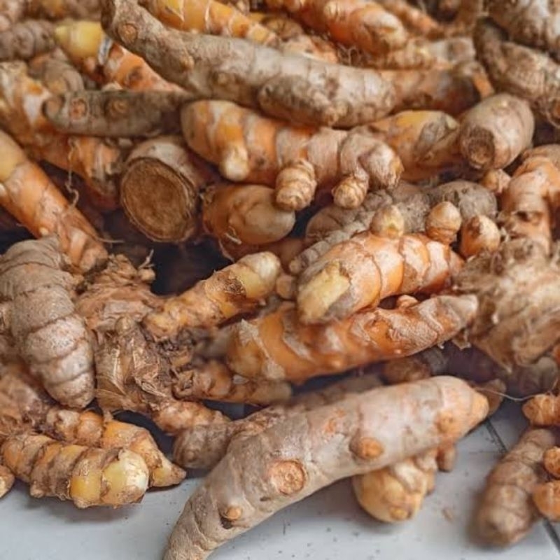 

kunyit/kunir segar 1kg