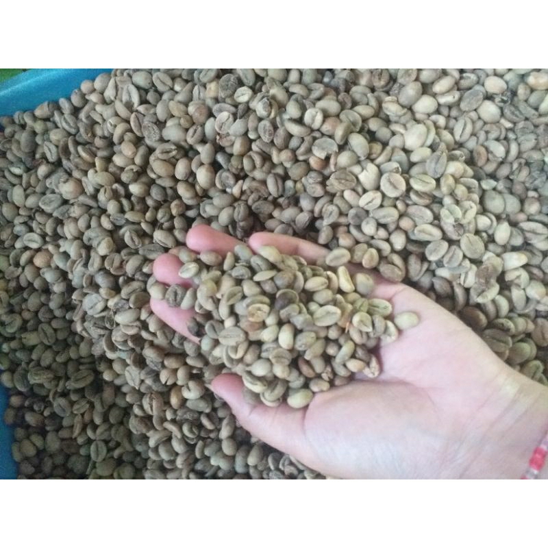 

Kopi mentah osse belum oven kemasan pouch 350gr