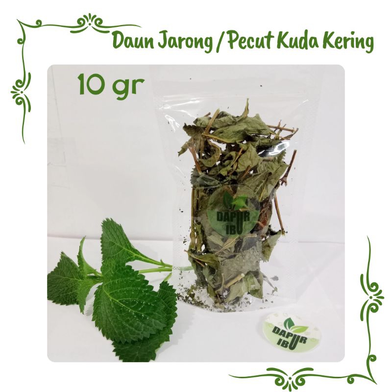 

Daun Jarong Kering