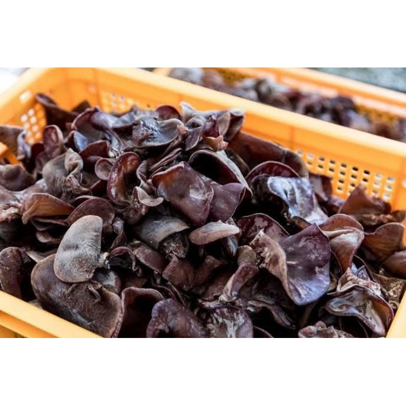 

Jamur kuping fresh 250 gram