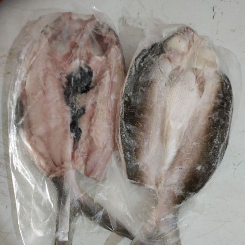 

ikan bandeng cabut duri 230gr sampai 250gr