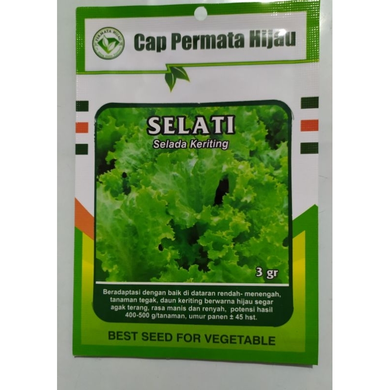 BIBIT SELADA KERITING SELATI Cap Permata Hijau